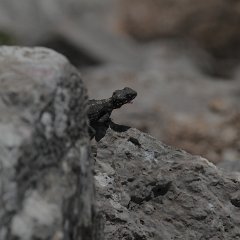 30.3.2013 217